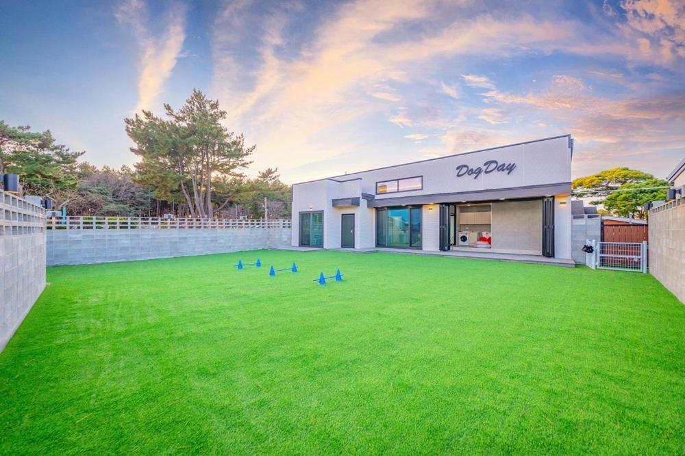 Taean Dog Day Pet Pool Villa エクステリア 写真