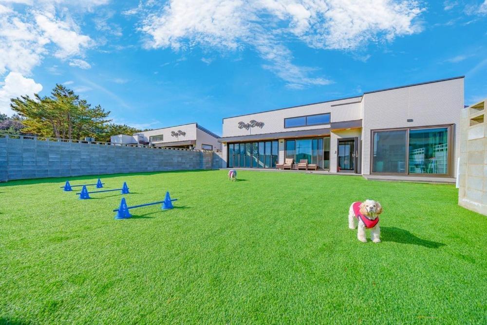 Taean Dog Day Pet Pool Villa エクステリア 写真